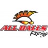 ALL BALLS RACING